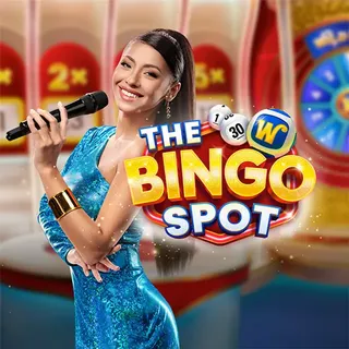 The Bingo Spot game artwork